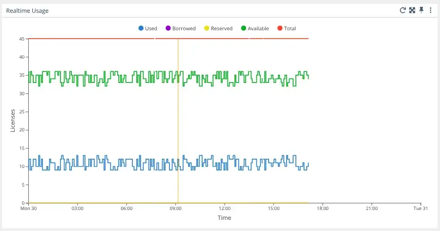 License Statistics - Realtime usage